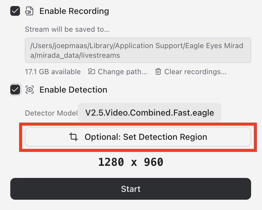 The Recording and Detection options in Eagle Eyes Mirada, with the Set Detection Region button
